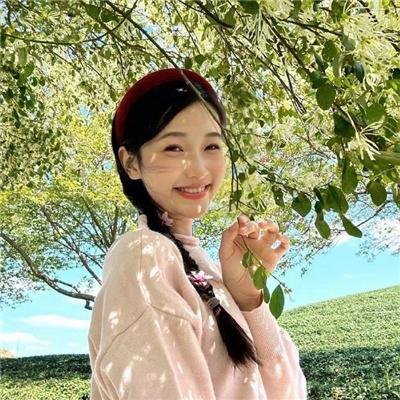 三角梅